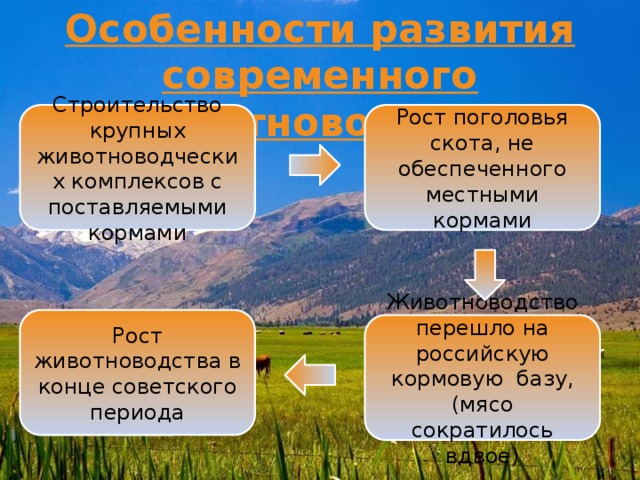 В каких отраслях животноводства применяются компьютерная техника