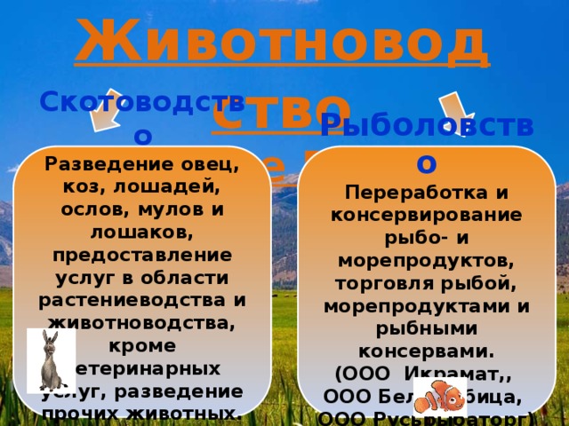 Животноводство в районе Перово    Рыболовство  Переработка и консервирование рыбо- и морепродуктов, торговля рыбой, морепродуктами и рыбными консервами. Скотоводство (ООО Икрамат,, ООО Белорыбица, Разведение овец, коз, лошадей, ослов, мулов и лошаков, предоставление услуг в области растениеводства и животноводства, кроме ветеринарных услуг, разведение прочих животных. ООО Русьрыбаторг) (ООО Вихрь,  ООО Беспелк,   ООО Интерпласт)     