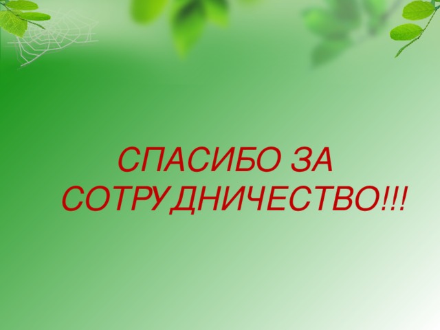 Спасибо за сотрудничество картинки прикольные