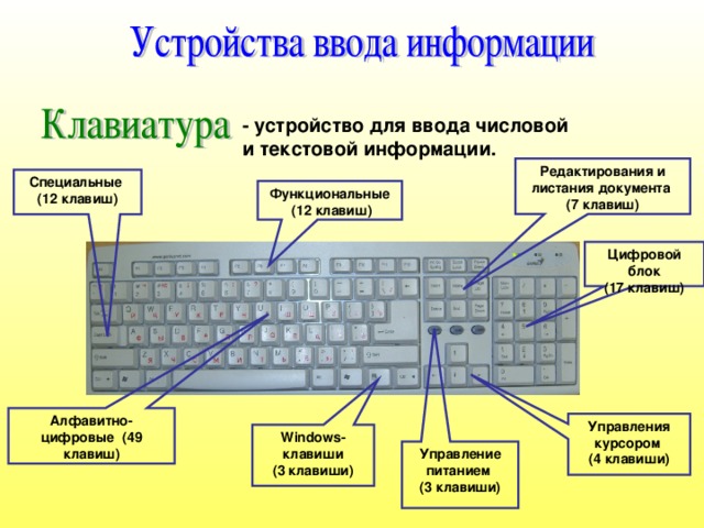 - устройство для ввода числовой и текстовой информации. Редактирования и листания документа (7 клавиш) Специальные (12 клавиш) Функциональные  (12 клавиш) Цифровой блок (17 клавиш) Алфавитно-цифровые (49 клавиш) Управления курсором (4 клавиши) Windows- клавиши (3 клавиши) Управление питанием (3 клавиши) 