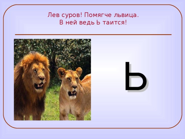 Лев суров! Помягче львица. В ней ведь Ь таится! Ь 