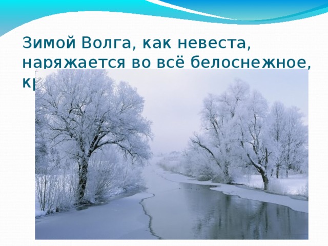 Зимой Волга, как невеста, наряжается во всё белоснежное, кристально белое. 