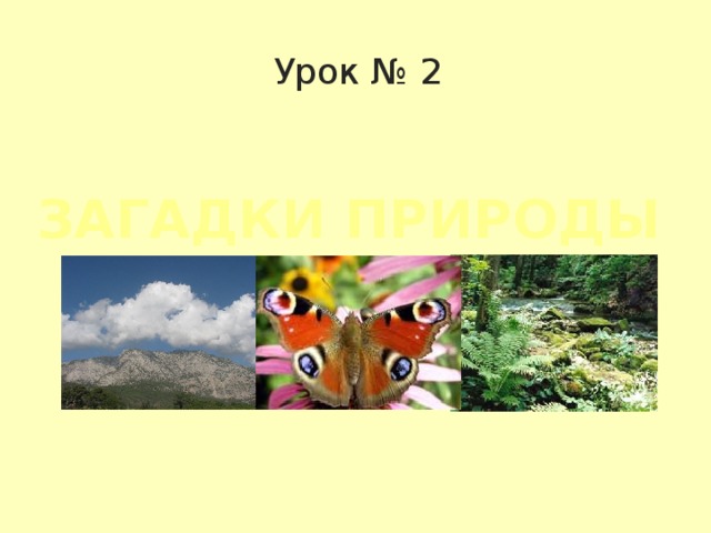 Урок № 2 Загадки природы 