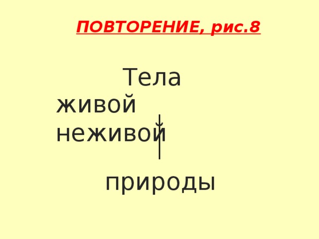 ПОВТОРЕНИЕ, рис.8 Тела живой неживой природы 