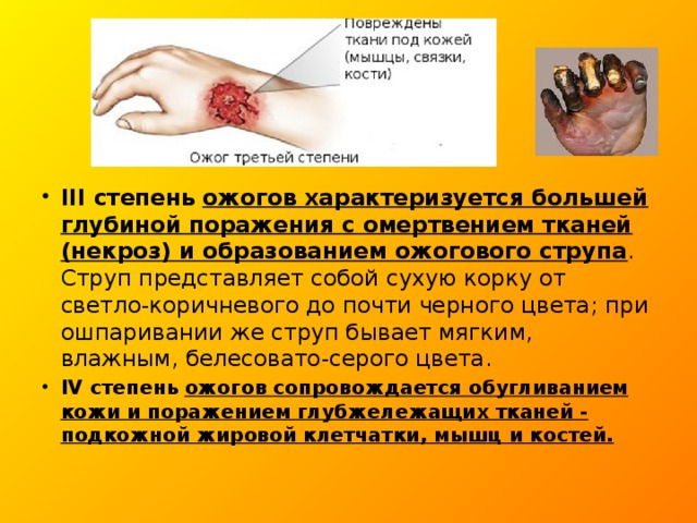 III степень  ожогов характеризуется большей глубиной поражения с омертвением тканей (некроз) и образованием ожогового струпа . Струп представляет собой сухую корку от светло-коричневого до почти черного цвета; при ошпаривании же струп бывает мягким, влажным, белесовато-серого цвета.   IV степень  ожогов сопровождается обугливанием кожи и поражением глубжележащих тканей - подкожной жировой клетчатки, мышц и костей. 