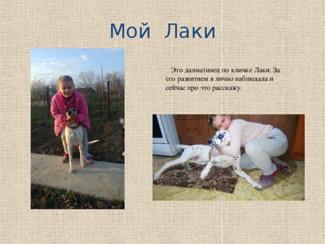 Кличка лаки. Женские имена. Имя варвара происхождение и значение. Значение слова лавры. Что обозначают имена людей.