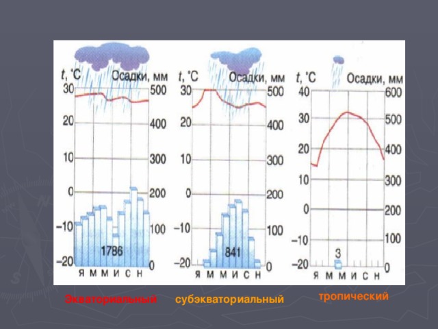 тропический Экваториальный субэкваториальный 