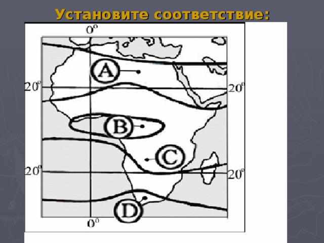 Установите соответствие: 