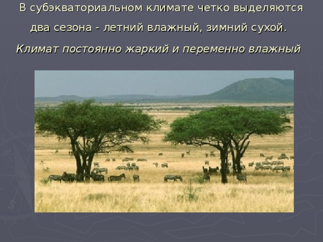 В субэкваториальном климате четко выделяются два сезона - летний влажный, зимний сухой.   Климат постоянно жаркий и переменно влажный  