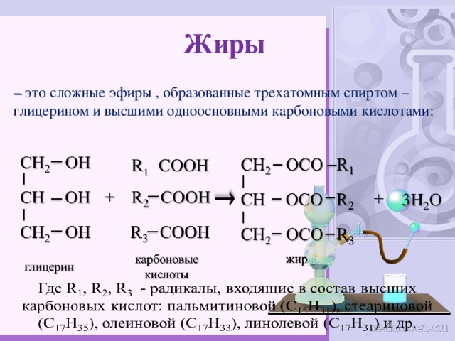 Жиры – это сложные эфиры , образованные трехатомным спиртом – глицерином и высшими одноосновными карбоновыми кислотами: R 1 COOH 7 