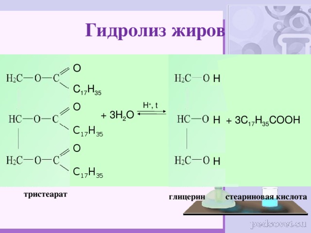 Гидролиз жиров О H С 17 Н 35 О H + , t  + 3 H 2 O H + 3C 17 H 35 COOH С 17 Н 35 О H С 17 Н 35 тристеарат глицерин стеариновая кислота 