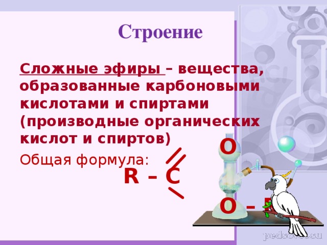 Строение  Сложные эфиры – вещества, образованные карбоновыми кислотами и спиртами (производные органических кислот и спиртов) Общая формула:   O R – C  O – R 1  