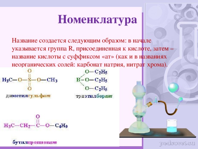 Номенклатура Название создается следующим образом: в начале указывается группа R, присоединенная к кислоте, затем – название кислоты с суффиксом «ат» (как и в названиях неорганических солей: карбонат натрия, нитрат хрома). 