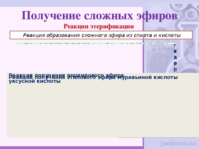 Получение сложных эфиров  Реакции этерификации  Реакция образования сложного эфира из спирта и кислоты гидролиз этерификация Реакция получения этилового эфира муравьиной кислоты Реакция получения пропилового эфира уксусной кислоты 7 