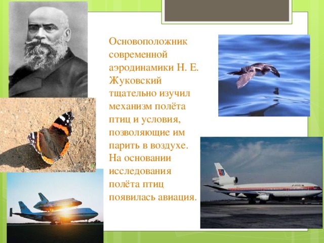 Основоположник современной аэродинамики Н. Е. Жуковский тщательно изучил механизм полёта птиц и условия, позволяющие им парить в воздухе. На основании исследования полёта птиц появилась авиация. 