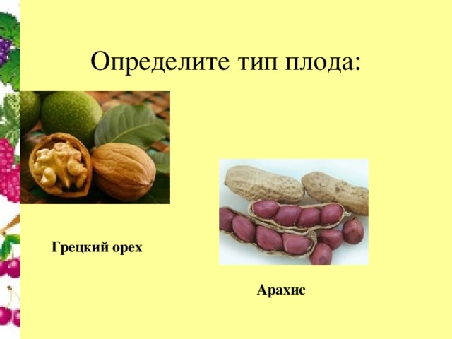 Грецкий орех  Арахис 