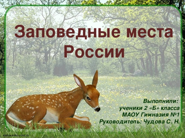 что такое заповедник 3 класс. Смотреть фото что такое заповедник 3 класс. Смотреть картинку что такое заповедник 3 класс. Картинка про что такое заповедник 3 класс. Фото что такое заповедник 3 класс