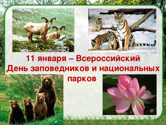 что такое заповедник 3 класс. Смотреть фото что такое заповедник 3 класс. Смотреть картинку что такое заповедник 3 класс. Картинка про что такое заповедник 3 класс. Фото что такое заповедник 3 класс