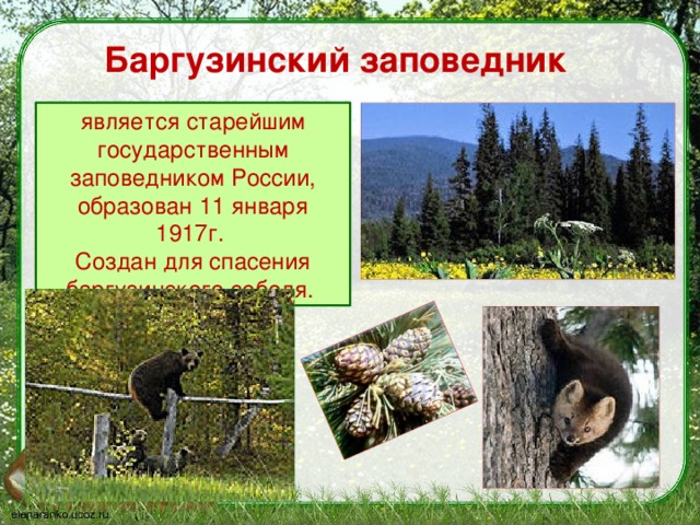 что такое заповедник 3 класс. Смотреть фото что такое заповедник 3 класс. Смотреть картинку что такое заповедник 3 класс. Картинка про что такое заповедник 3 класс. Фото что такое заповедник 3 класс