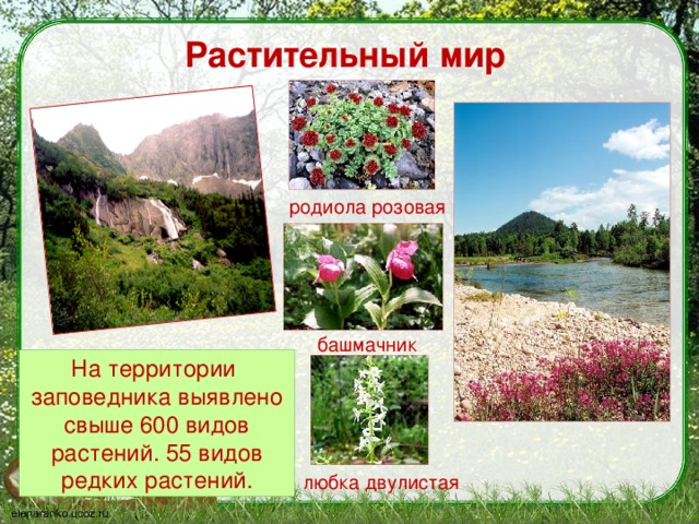 что такое заповедник 3 класс. Смотреть фото что такое заповедник 3 класс. Смотреть картинку что такое заповедник 3 класс. Картинка про что такое заповедник 3 класс. Фото что такое заповедник 3 класс