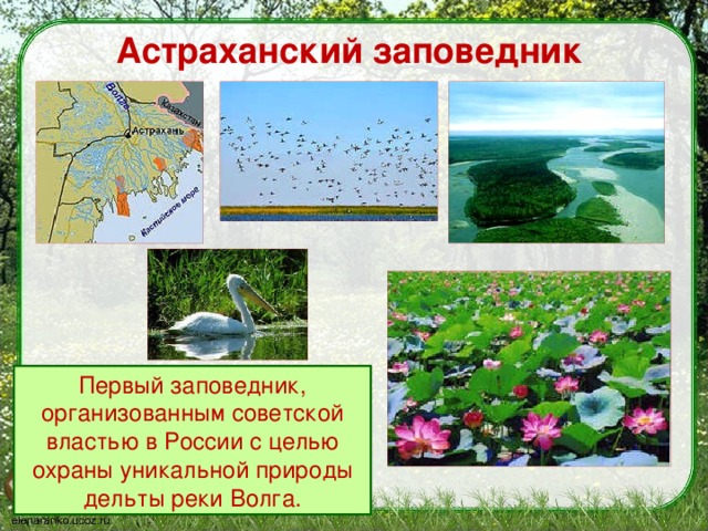 что такое заповедник 3 класс. Смотреть фото что такое заповедник 3 класс. Смотреть картинку что такое заповедник 3 класс. Картинка про что такое заповедник 3 класс. Фото что такое заповедник 3 класс