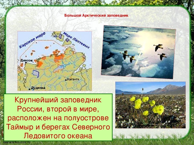 что такое заповедник 3 класс. Смотреть фото что такое заповедник 3 класс. Смотреть картинку что такое заповедник 3 класс. Картинка про что такое заповедник 3 класс. Фото что такое заповедник 3 класс