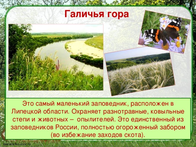 что такое заповедник 3 класс. Смотреть фото что такое заповедник 3 класс. Смотреть картинку что такое заповедник 3 класс. Картинка про что такое заповедник 3 класс. Фото что такое заповедник 3 класс