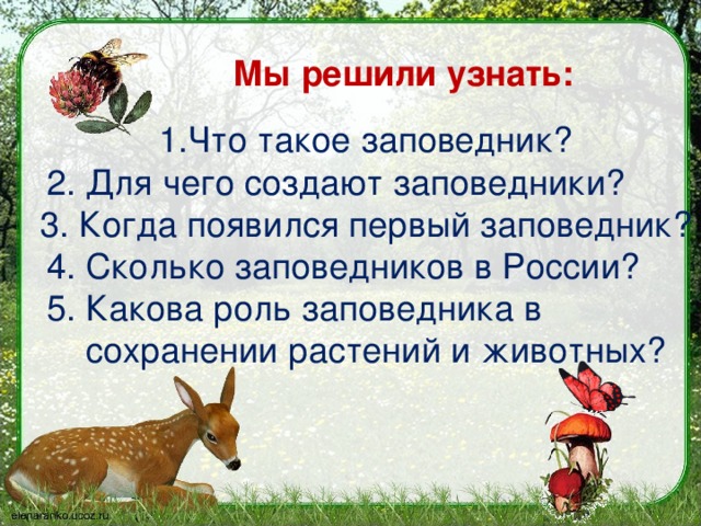 что такое заповедник 3 класс. Смотреть фото что такое заповедник 3 класс. Смотреть картинку что такое заповедник 3 класс. Картинка про что такое заповедник 3 класс. Фото что такое заповедник 3 класс