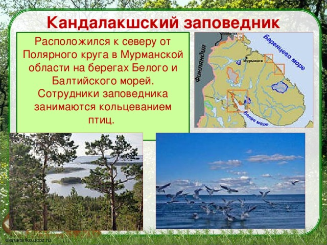 что такое заповедник 3 класс. Смотреть фото что такое заповедник 3 класс. Смотреть картинку что такое заповедник 3 класс. Картинка про что такое заповедник 3 класс. Фото что такое заповедник 3 класс