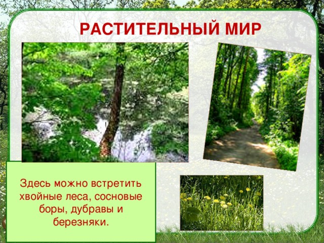 что такое заповедник 3 класс. Смотреть фото что такое заповедник 3 класс. Смотреть картинку что такое заповедник 3 класс. Картинка про что такое заповедник 3 класс. Фото что такое заповедник 3 класс
