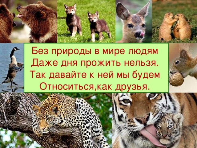 что такое заповедник 3 класс. Смотреть фото что такое заповедник 3 класс. Смотреть картинку что такое заповедник 3 класс. Картинка про что такое заповедник 3 класс. Фото что такое заповедник 3 класс