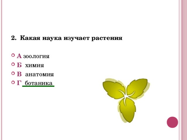 2.  Какая наука изучает растения  А зоология Б   химия В анатомия Г ботаника  