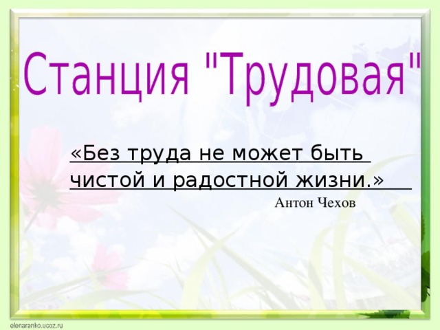 «Без труда не может быть чистой и радостной жизни.»  Антон Чехов 