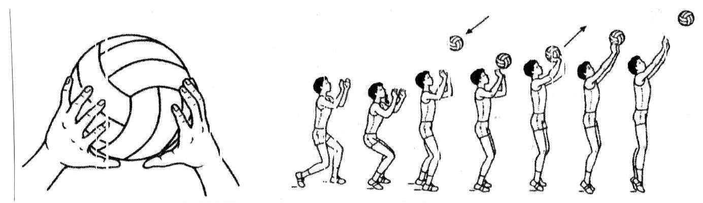 Выберите рисунок на котором изображено упражнение для отработки передачи двумя руками сверху назад