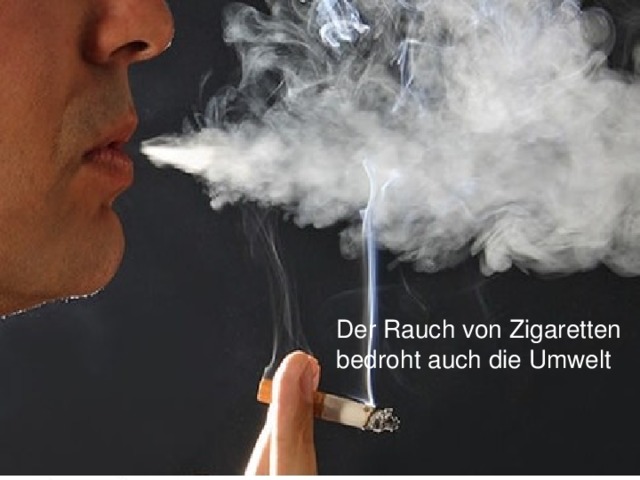 Der Rauch von Zigaretten bedroht auch die Umwelt 