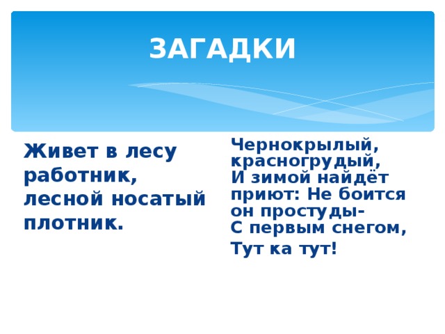 ЗАГАДКИ   Живет в лесу работник, лесной носатый плотник. Чернокрылый, красногрудый,  И зимой найдёт приют: Не боится он простуды-  С первым снегом, Тут ка тут! 