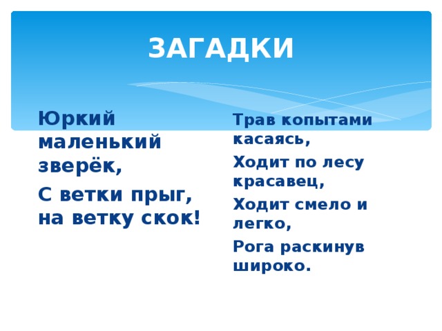 ЗАГАДКИ Юркий маленький зверёк, С ветки прыг, на ветку скок! Трав копытами касаясь, Ходит по лесу красавец, Ходит смело и легко, Рога раскинув широко.  