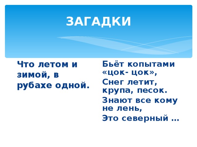 ЗАГАДКИ Что летом и зимой, в рубахе одной. Бьёт копытами «цок- цок», Снег летит, крупа, песок. Знают все кому не лень, Это северный …  