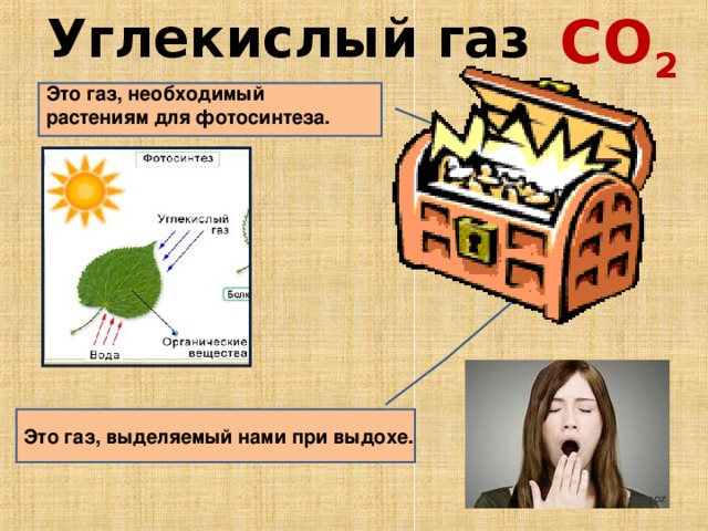 Картинки про углекислый газ