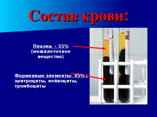 Состав крови : Плазма - 55% (межклеточное вещество) Форменные элементы- 45% : эритроциты, лейкоциты, тромбоциты 