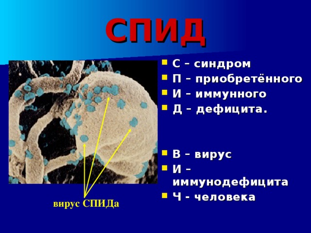 СПИД С – синдром П – приобретённого И – иммунного Д – дефицита.   В – вирус И – иммунодефицита Ч - человека вирус СПИДа 