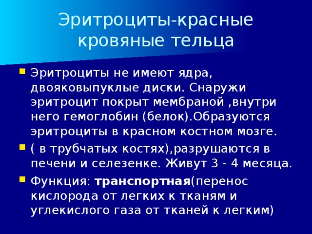 Эритроциты-красные кровяные тельца Эритроциты не имеют ядра, двояковыпуклые диски. Снаружи эритроцит покрыт мембраной ,внутри него гемоглобин (белок).Образуются эритроциты в красном костном мозге. ( в трубчатых костях),разрушаются в печени и селезенке. Живут 3 - 4 месяца. Функция: транспортная (перенос кислорода от легких к тканям и углекислого газа от тканей к легким) 