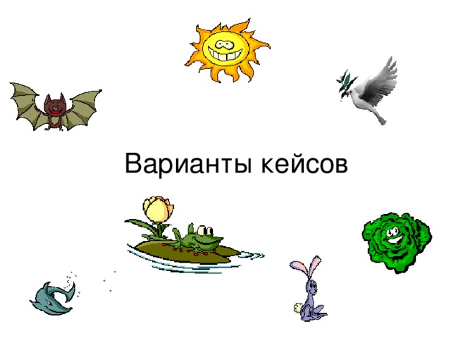 Варианты кейсов 