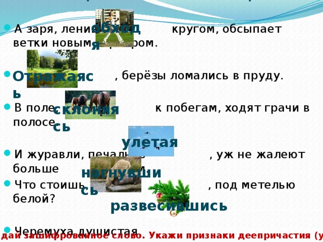  Строчки из стихотворений С.Есенина обходя А заря, лениво кругом, обсыпает ветки новым серебром.  , берёзы ломались в пруду. В поле, к побегам, ходят грачи в полосе. И журавли, печально , уж не жалеют больше ни о ком. Что стоишь, , под метелью белой? Черемуха душистая, ,стоит, а зелень золотистая на солнышке горит.   Отражаясь склоняясь улетая нагнувшись развесившись Отгадай зашифрованное слово. Укажи признаки деепричастия (устно). 