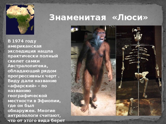 австралопитек найден в. люси первый австралопитек. австралопитеки «австрало». австралопитек прямохождение. австралопитек найден в.