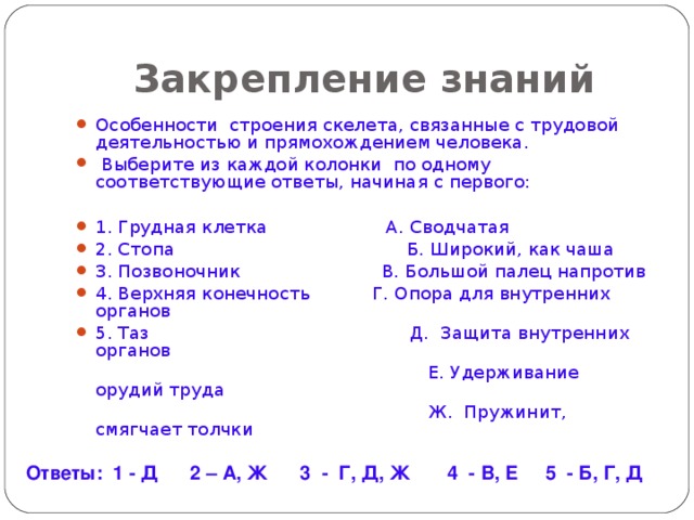 Строение сустава 1. Суставные поверхности (покрыты гладким хрящом) 2. Суставная впадина (вогнутая кость) 3Суставная головка (выпуклая кость)  4. Суставная сумка  ( заполненная суставной жидкостью) 5.Связки ( укрепляют суставы) 