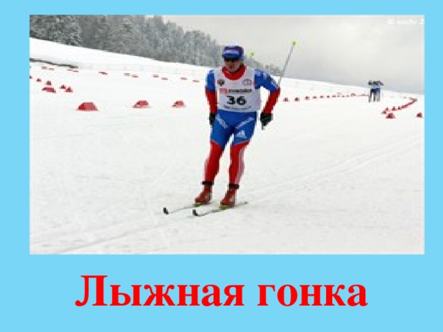Лыжная гонка 