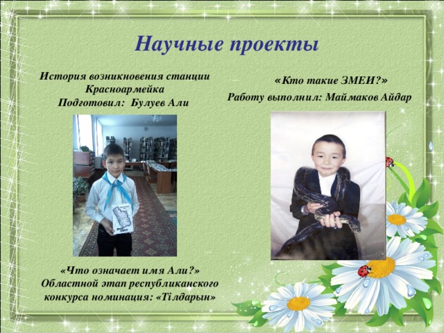 Значение имени алей