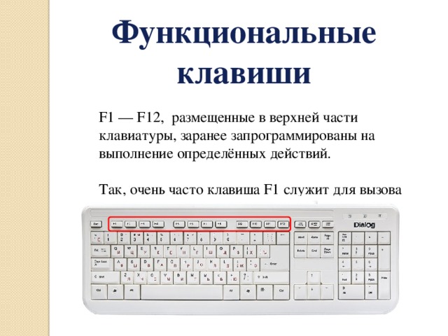 Функциональные клавиши F1 — F12, размещенные в верхней части клавиатуры, заранее запрограммированы на выполнение определённых действий. Так, очень часто клавиша F1 служит для вызова справки. 