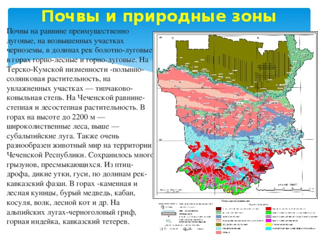 Карта природных зон дагестана